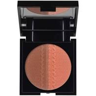 BLUSH & BRONZER 309