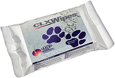 CLX WIPES POCKET 20 SALVIETTE