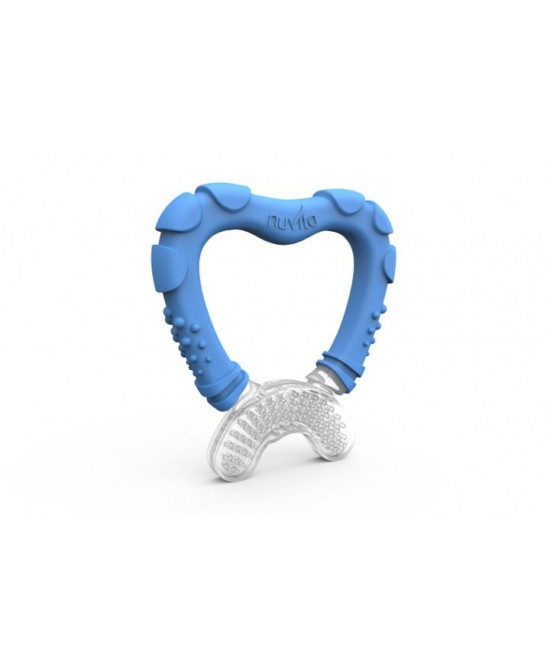 MASSAGGIA GENGIVE 4MESI+ BLU-971967221