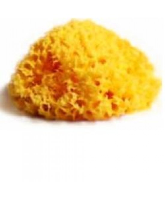 SPUGNA NAT MEDITE LAB ATENEI12-930530845