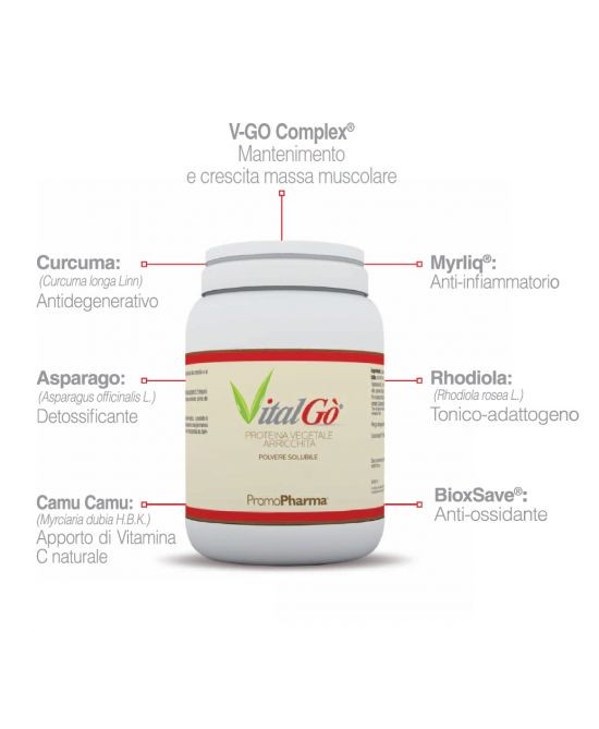 PromoPharma Alimenti Dietetici A Fine Medici Speciali Vitalgo Integratore Alimentare 300g prezzi bassi