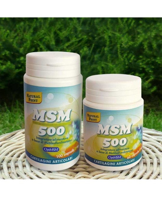 Natural Point MSM 500 Integratore Alimentare 60 Capsule Vegetali