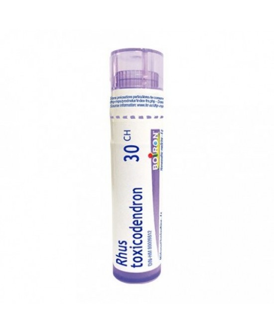RHUS TOX 30CH GR-800024642