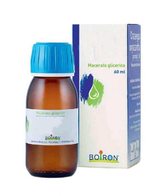 Boiron Sorbus Domestica 1DH Macerato Glicerico 60 ml miglior prezzo Boiron Sorbus Domestica 1DH Macerato Glicerico 60 ml offerta