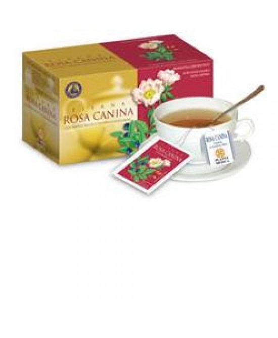 Tisana Rosa Canina+mirt 20filt