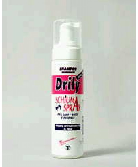 DRILY SHAMPOO SCHIUMA SPRAY prezzi bassi