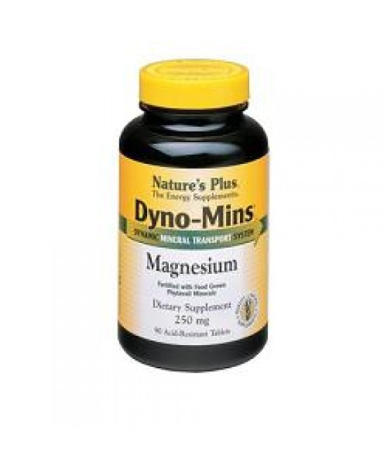 DYNO MINS MAGNESIO 90TAV DYNO MINS MAGNESIO 90TAV-900976491