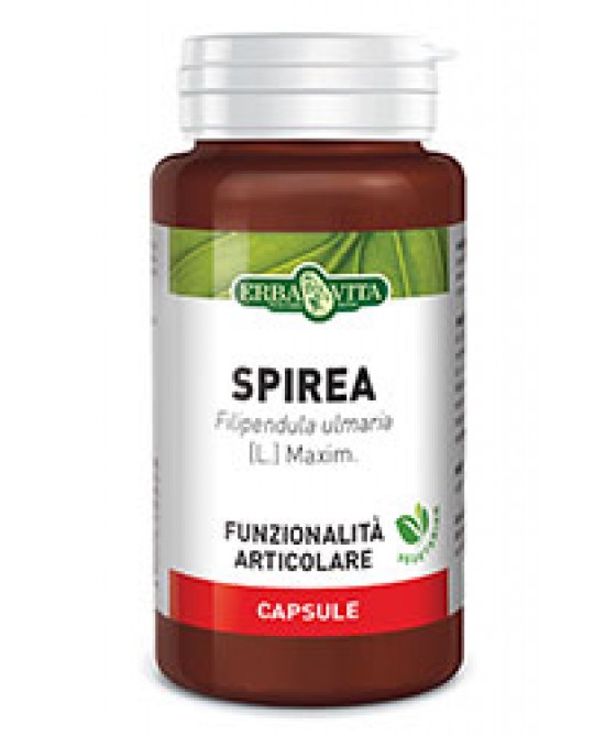 Erba Vita Spirea Ulmaria Integratore Articolare 60 Capsule 400 mg miglior prezzo Erba Vita Spirea Ulmaria Integratore Articolare 60 Capsule 400 mg offerta
