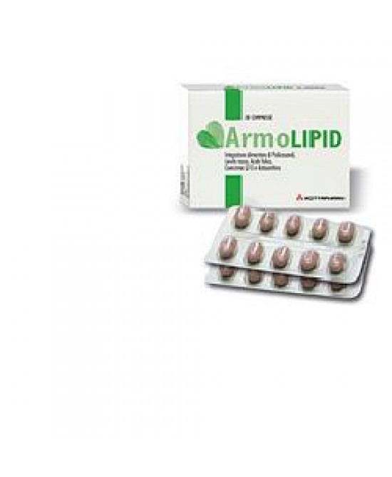 ARMOLIPID 20CPR prezzi bassi