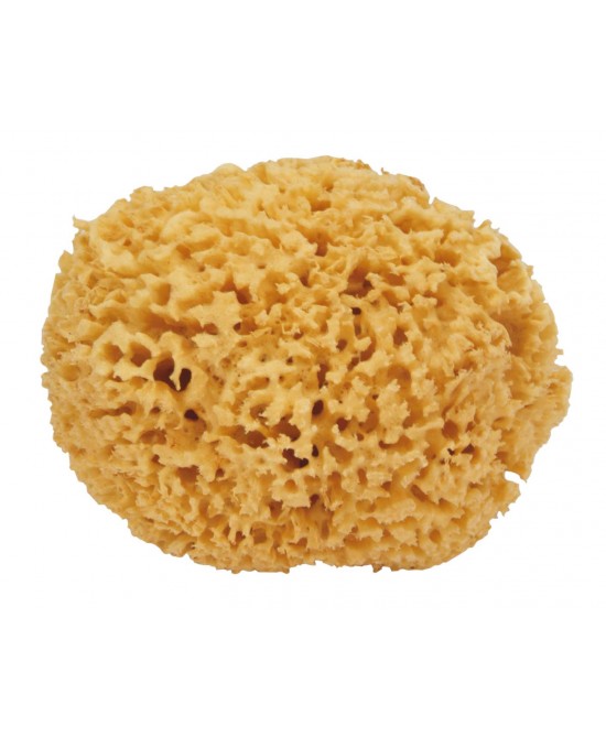 SPUGNA NATURALE MAXI prezzi bassi