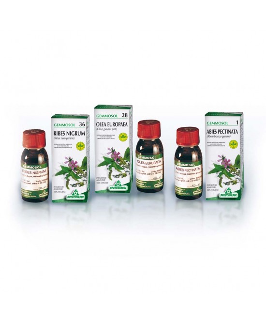 GEMMOSOL 36 RIBES NERO 50ML prezzi bassi