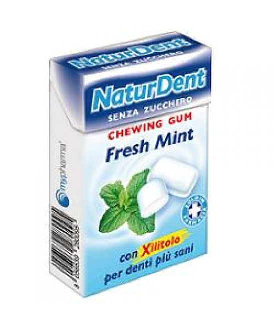 Naturdent Fresh Mint Chewing Gum miglior prezzo Naturdent Fresh Mint Chewing Gum offerta
