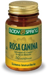 BODY SPRING ROSA CANINA 50 COMPRESSE
