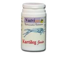 KARTILEG J 60TAV offerta