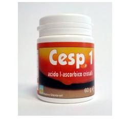 CESP 1 POLVERE 60G prezzi bassi