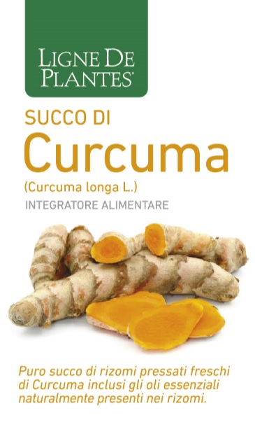 CURCUMA BIO SUCCO 250ML prezzi bassi