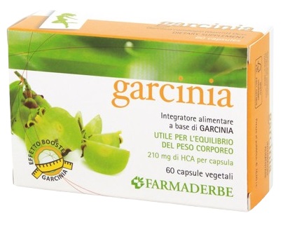 GARCINIA 60CPS 34,2G prezzi bassi