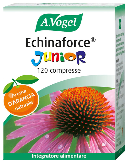 ECHINAFORCE JUNIOR 120 COMPRESSE