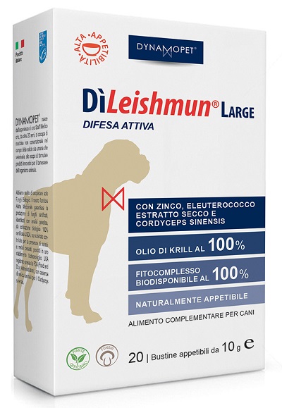 DILEISHMUN LARGE 20 BUSTINE 10 G
